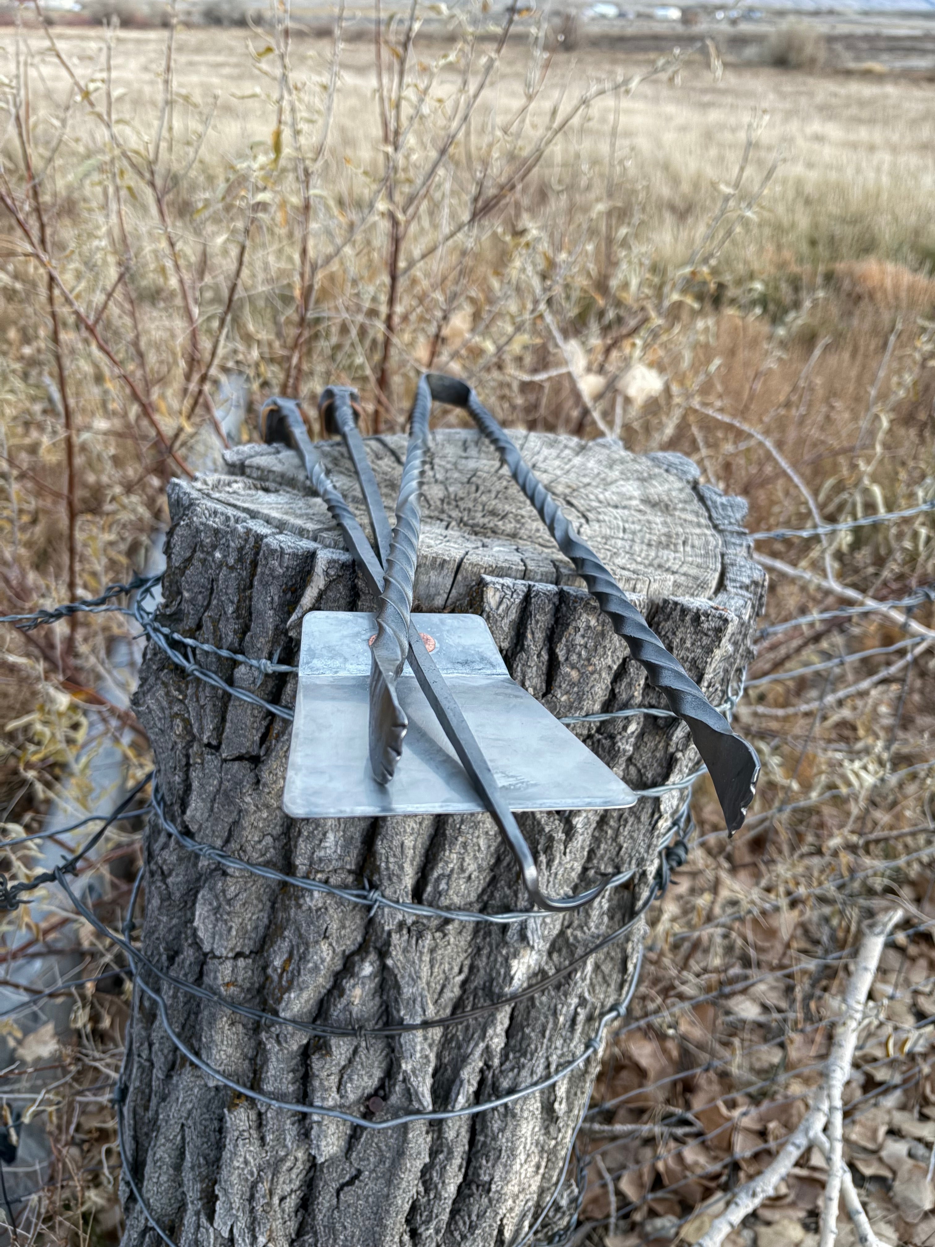 Grilling Set